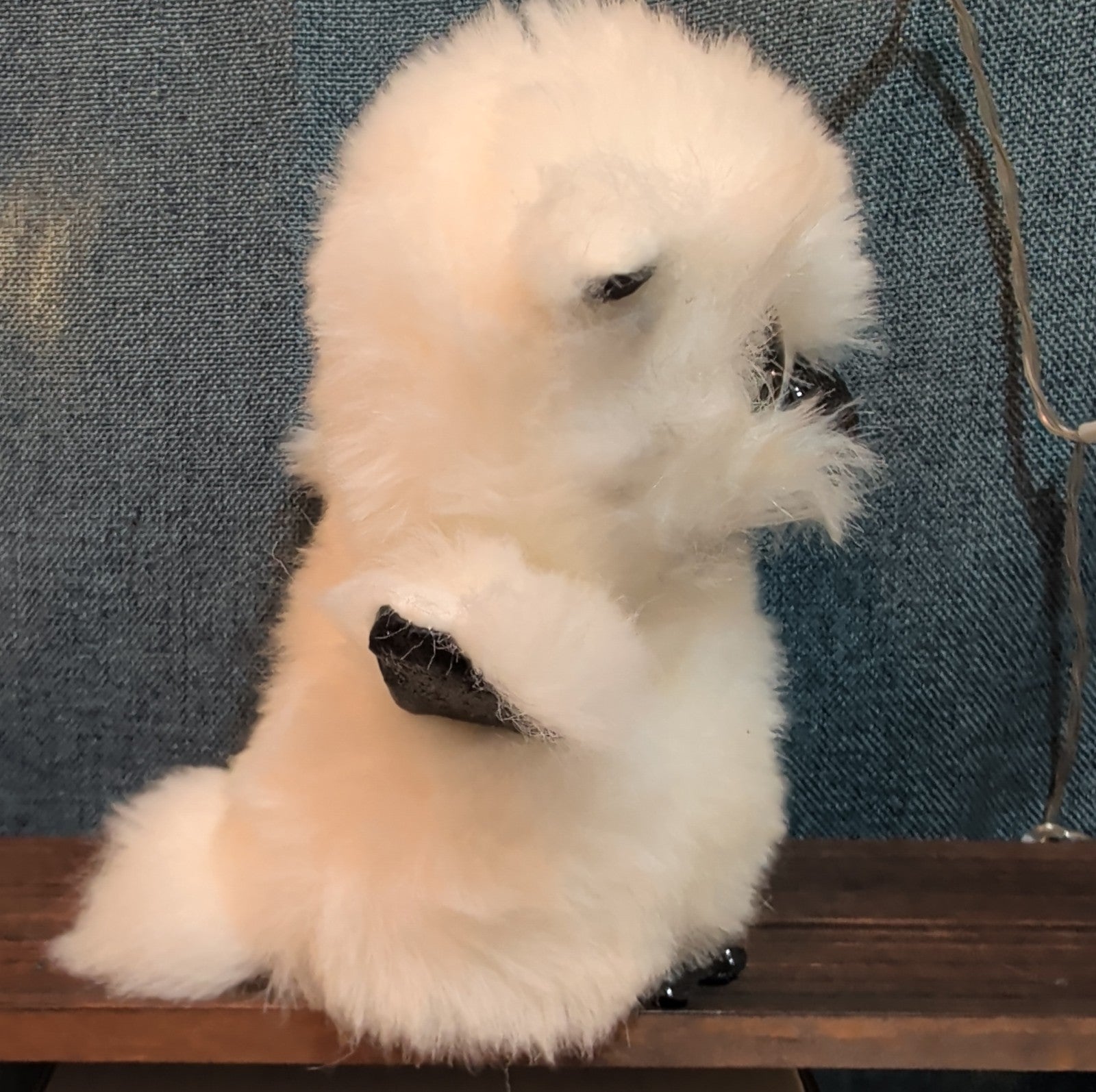 TY Beanie Boos Austin White Owl 6" Plush Gold Eyes Kawaii MWMTs