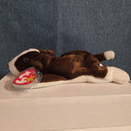 Ty Beanie Baby Bruno Dog Plush Vintage 1997 Bull Terrier Tags Protected
