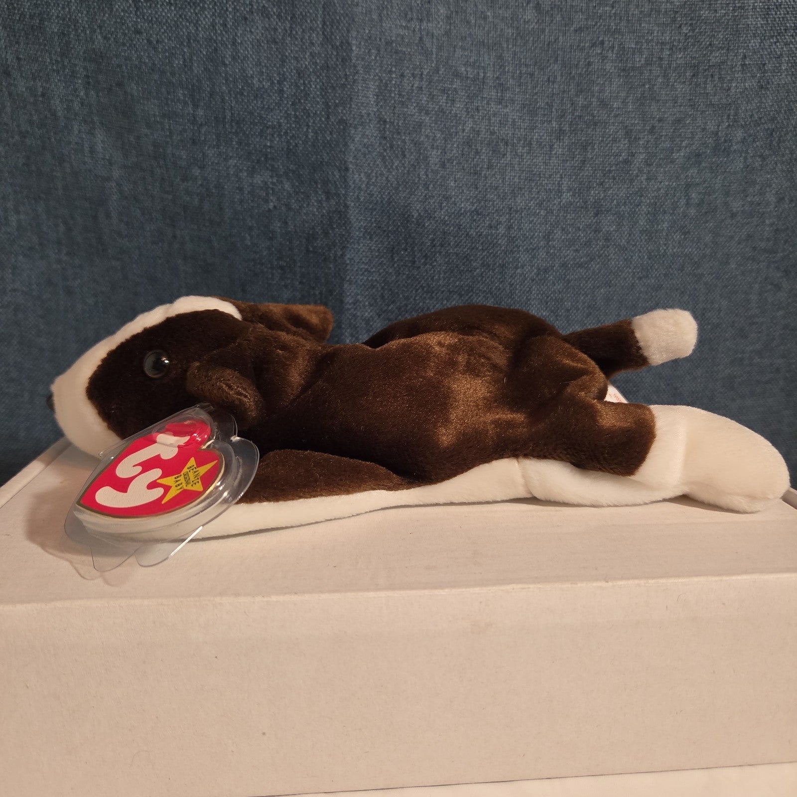Ty Beanie Baby Bruno Dog Plush Vintage 1997 Bull Terrier Tags Protected