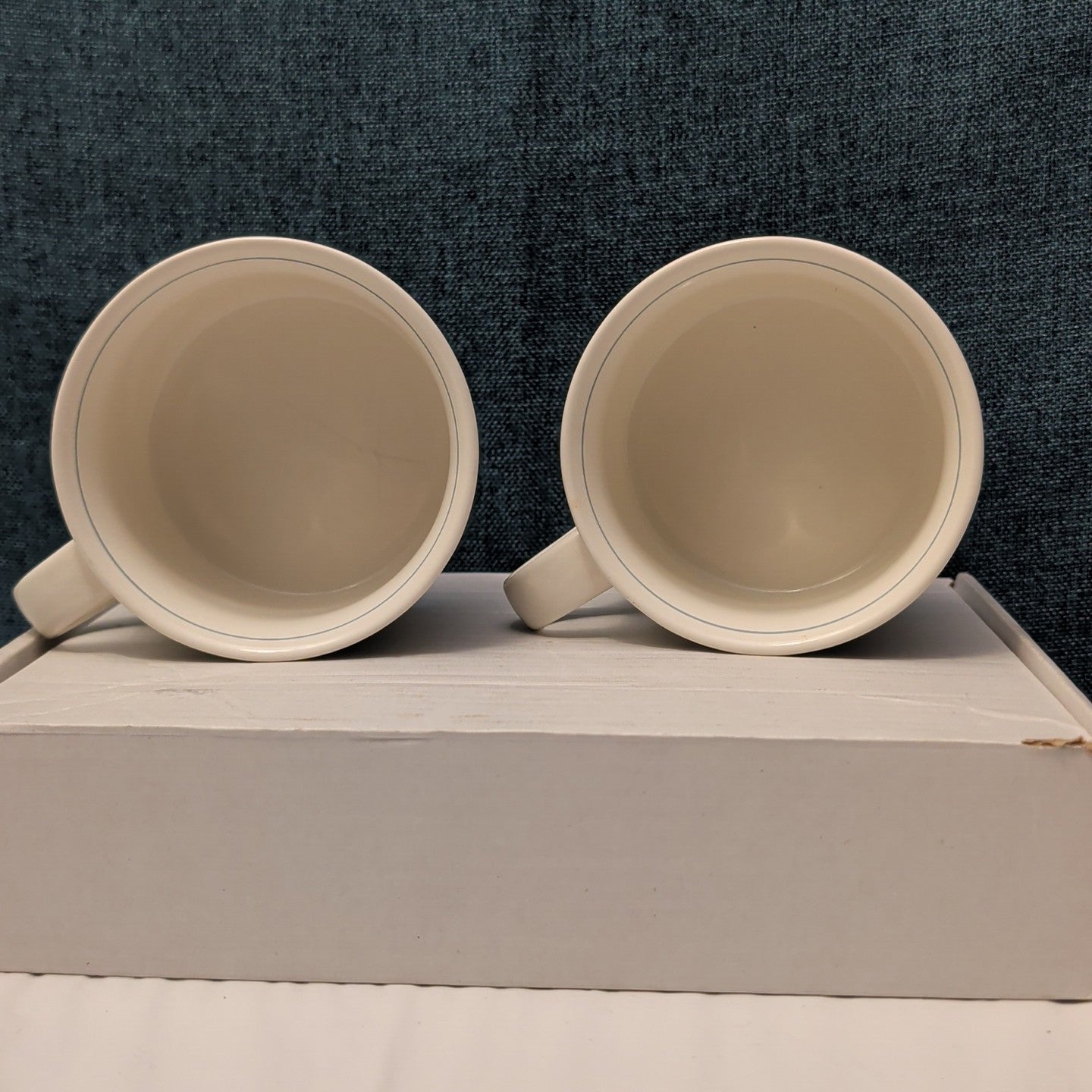 Set of 2 Mikasa Intaglio GARDEN HARVEST Cups | CAC29 8oz Flat Mugs | Vintage 90s