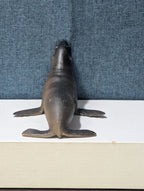 Vintage S.H. Sea Lion Figure | Realistic Ocean Animal Toy | Articulated Neck