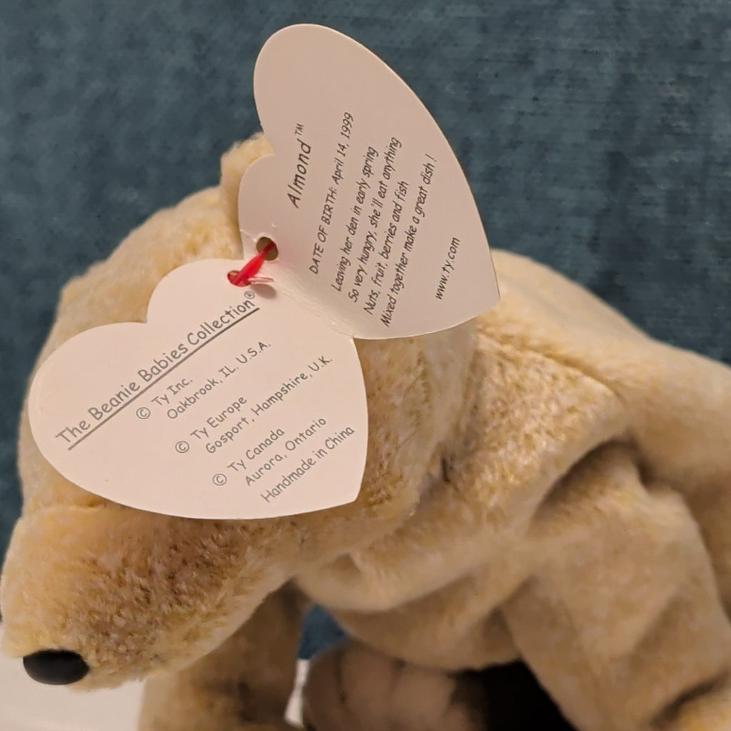 TY Beanie Baby ALMOND Beige Bear 1999 | MWMT Mint Tags | Retired Rare 7" Toy