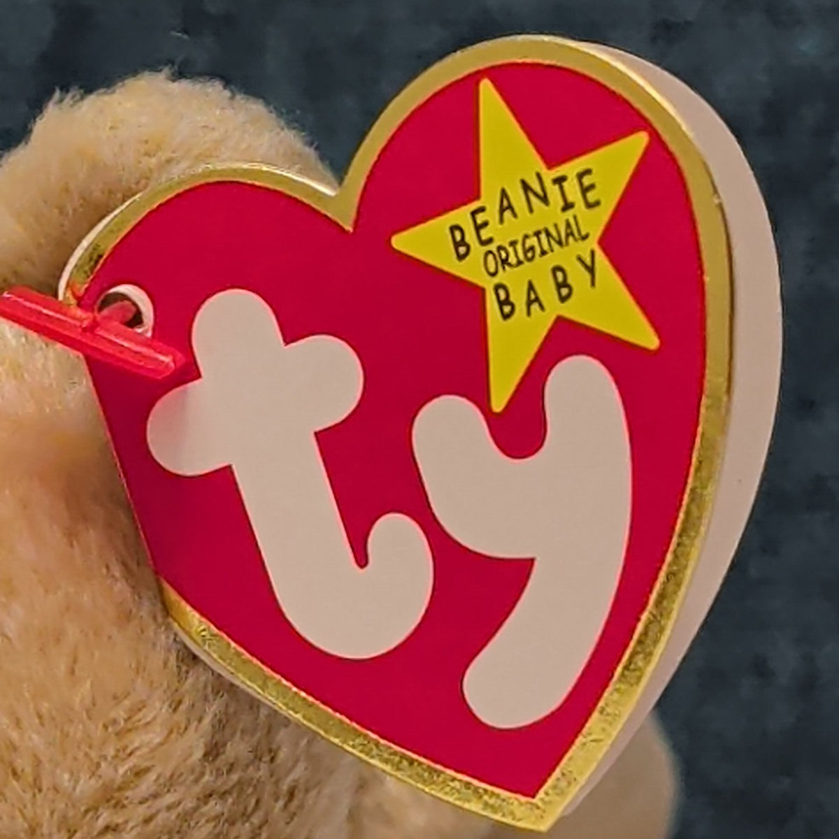 TY Beanie Baby ALMOND Beige Bear 1999 | MWMT Mint Tags | Retired Rare 7" Toy