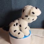 TY Beanie Boos - FETCH the Dalmatian (Solid Eye Color) (6 inch) 2011