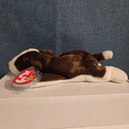Ty Beanie Baby Bruno Dog Plush Vintage 1997 Bull Terrier Tags Protected