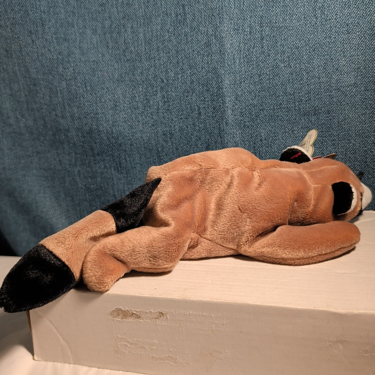 Ty Beanie Baby Ringo - MWMT (Raccoon 1995)