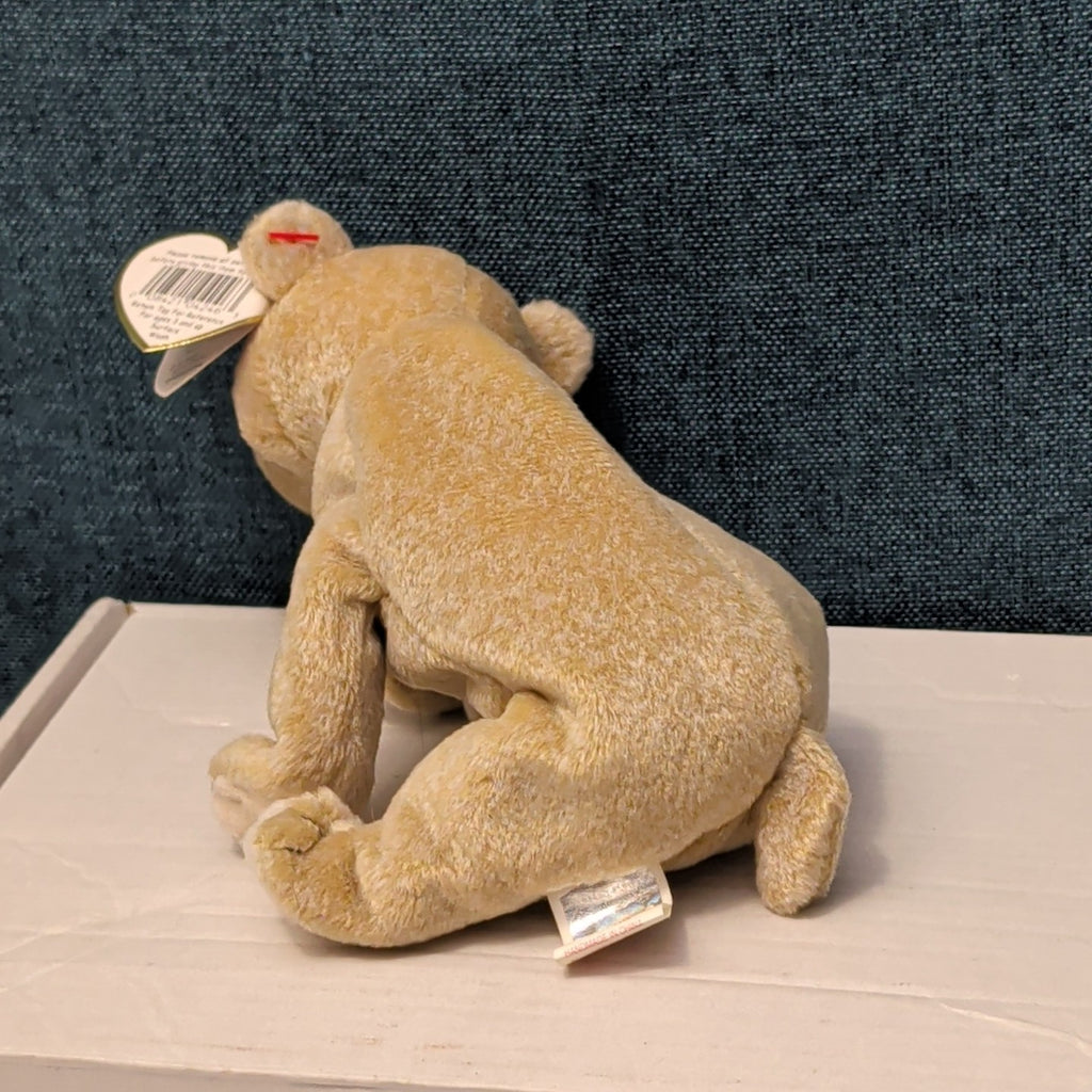 TY Beanie Baby ALMOND Beige Bear 1999 | MWMT Mint Tags | Retired Rare 7" Toy