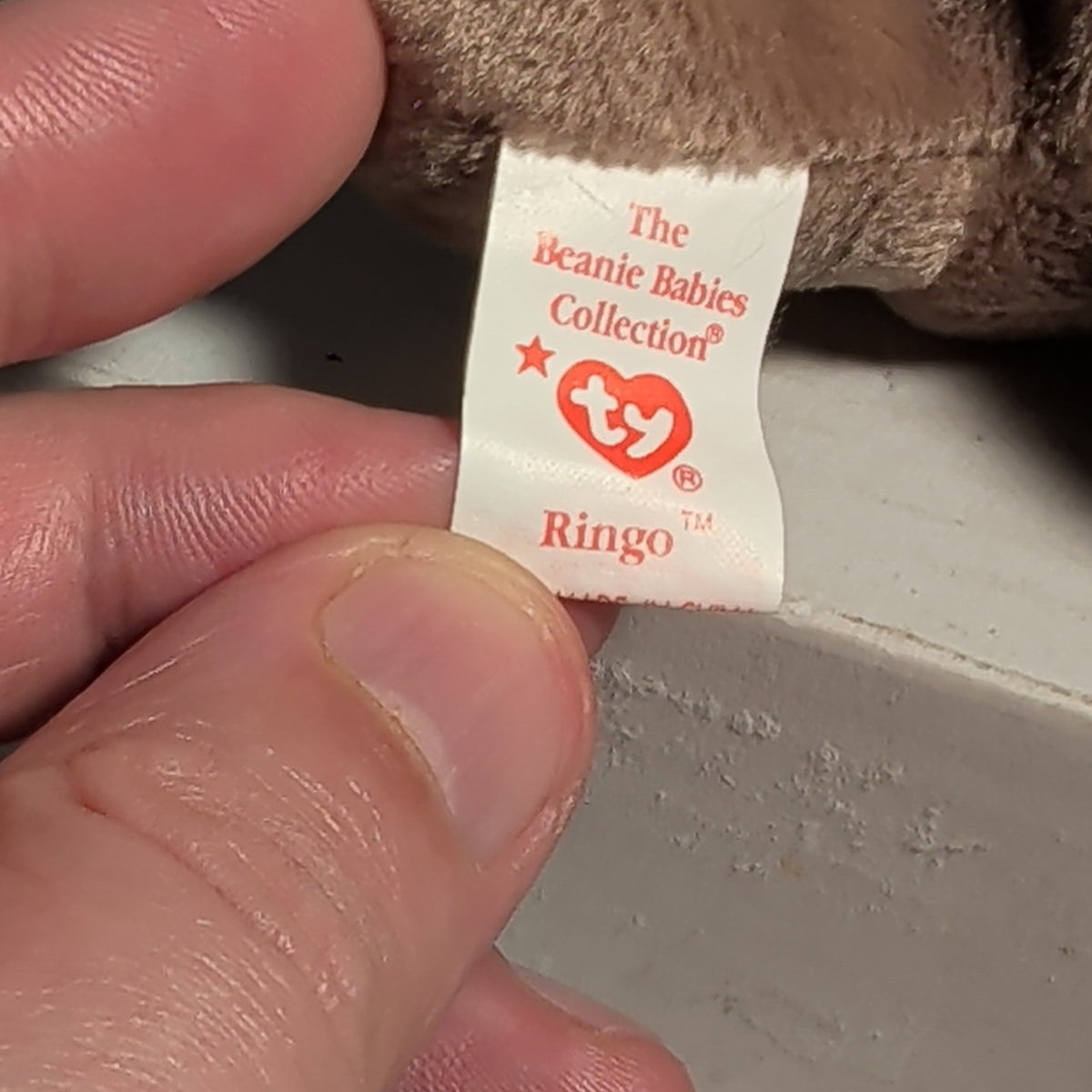 Ty Beanie Baby Ringo - MWMT (Raccoon 1995)