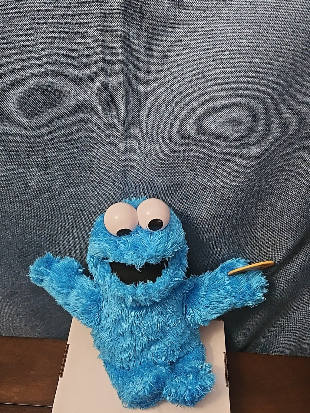 Sesame Street Cookie Monster Plush | 10” Hasbro Talking Figure with Cookie