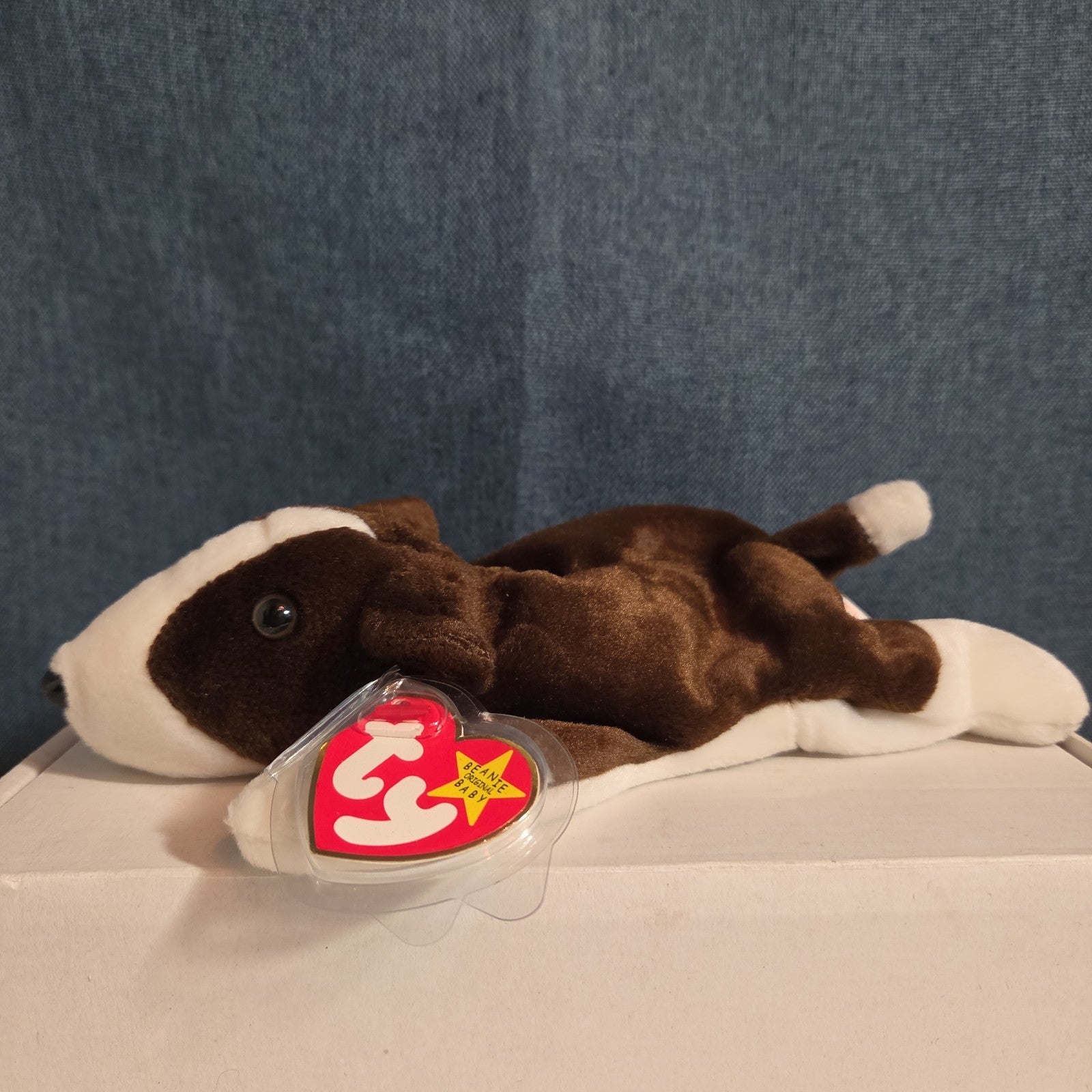 Ty Beanie Baby Bruno Dog Plush Vintage 1997 Bull Terrier Tags Protected