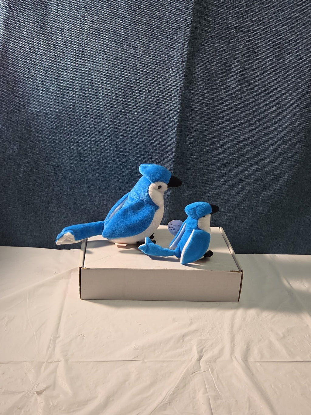Ty Beanie Baby Rocket the Blue Jay Set Standard & Teenie Beanie 1998 NWT Bird