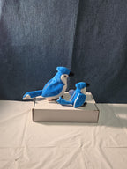 Ty Beanie Baby Rocket the Blue Jay Set Standard & Teenie Beanie 1998 NWT Bird