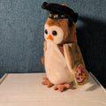 Wise TY Beanie Baby Owl Class of 1998 Graduation Gift MWMT with Tag Protector
