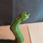 Vintage Safari Ltd Brachiosaurus 1996 Dinosaur Figure Long Neck Green Toy 11"