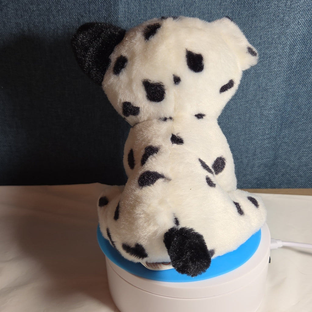 TY Beanie Boos - FETCH the Dalmatian (Solid Eye Color) (6 inch) 2011