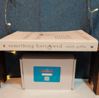 Emily Giffin Something Borrowed Paperback