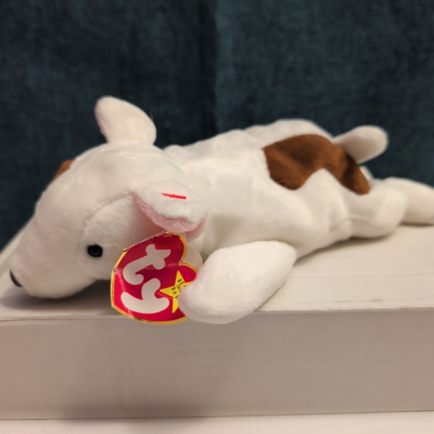 Ty Beanie Baby Butch Bull Terrier Dog 1999 Retired Plush TAG CREASE Clean 4227