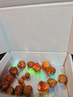 Baroque Tortoise Pre-Drilled Plastic Beads 2oz Boho Craft Lot