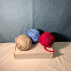 Assorted Yarn Lot 10oz Mixed Red Blue Variegated Grey Partial Skeins Knitting