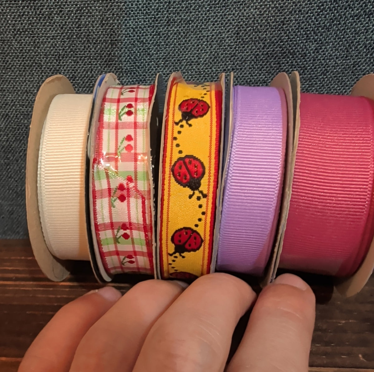 Offray Ribbon Lot 5 Ladybug Cherry Solid Spring Craft Destash