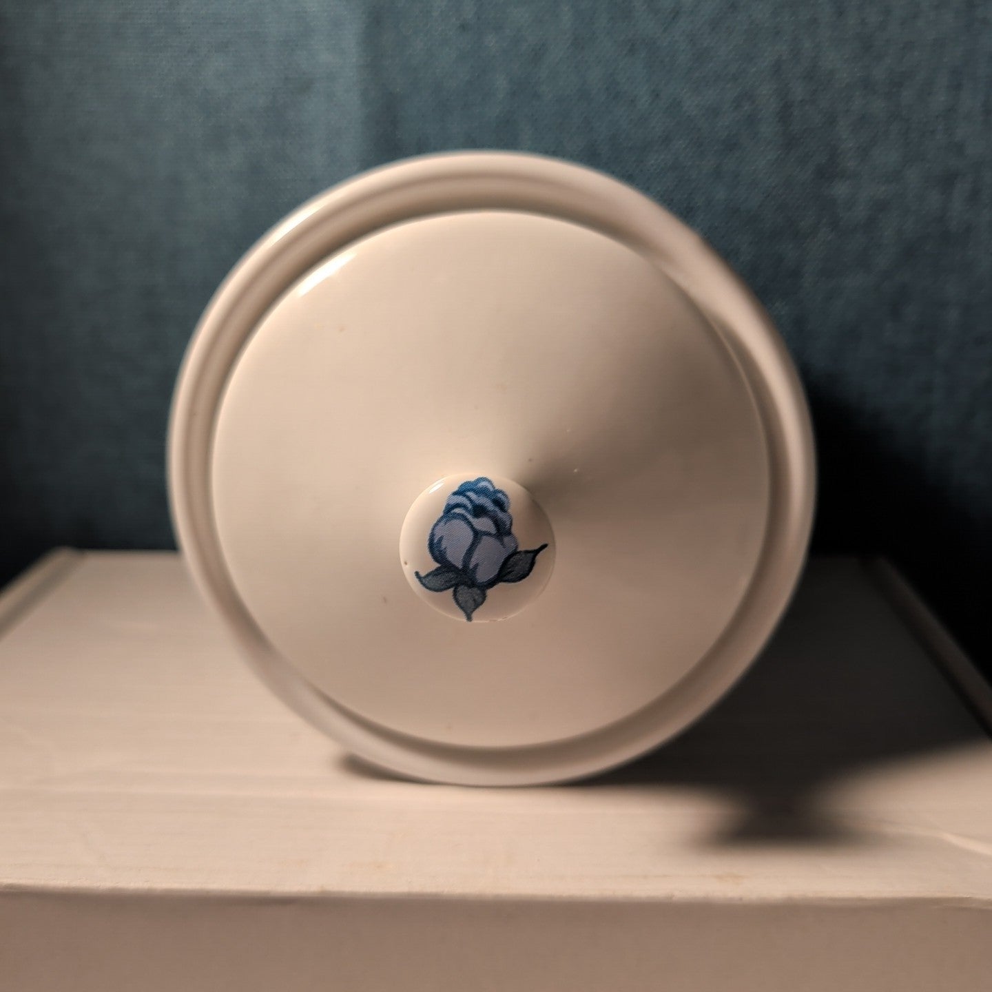 Jay Import Blue Rose Ceramic Canister with Lid Floral Farmhouse Decor 5" Jar
