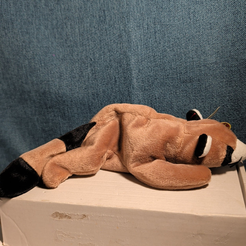 Ty Beanie Baby Ringo - MWMT (Raccoon 1995)