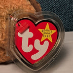 Beak Ty Beanie Baby 1998 Retired Kiwi Bird with Tag Protector Vintage Retired