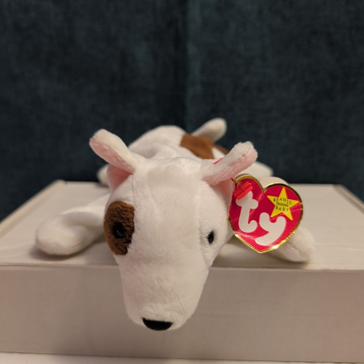 Ty Beanie Baby Butch Bull Terrier Dog 1999 Retired Plush TAG CREASE Clean 4227