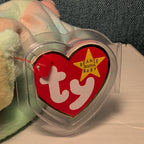 Sammy TY Beanie Baby 1999 Retired Tie-Dyed Multicolor Bear w/ Protector