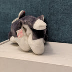 TY Beanie Baby NANOOK Husky Dog 1996 | MWMT Mint Tags | Fareham Hants Star