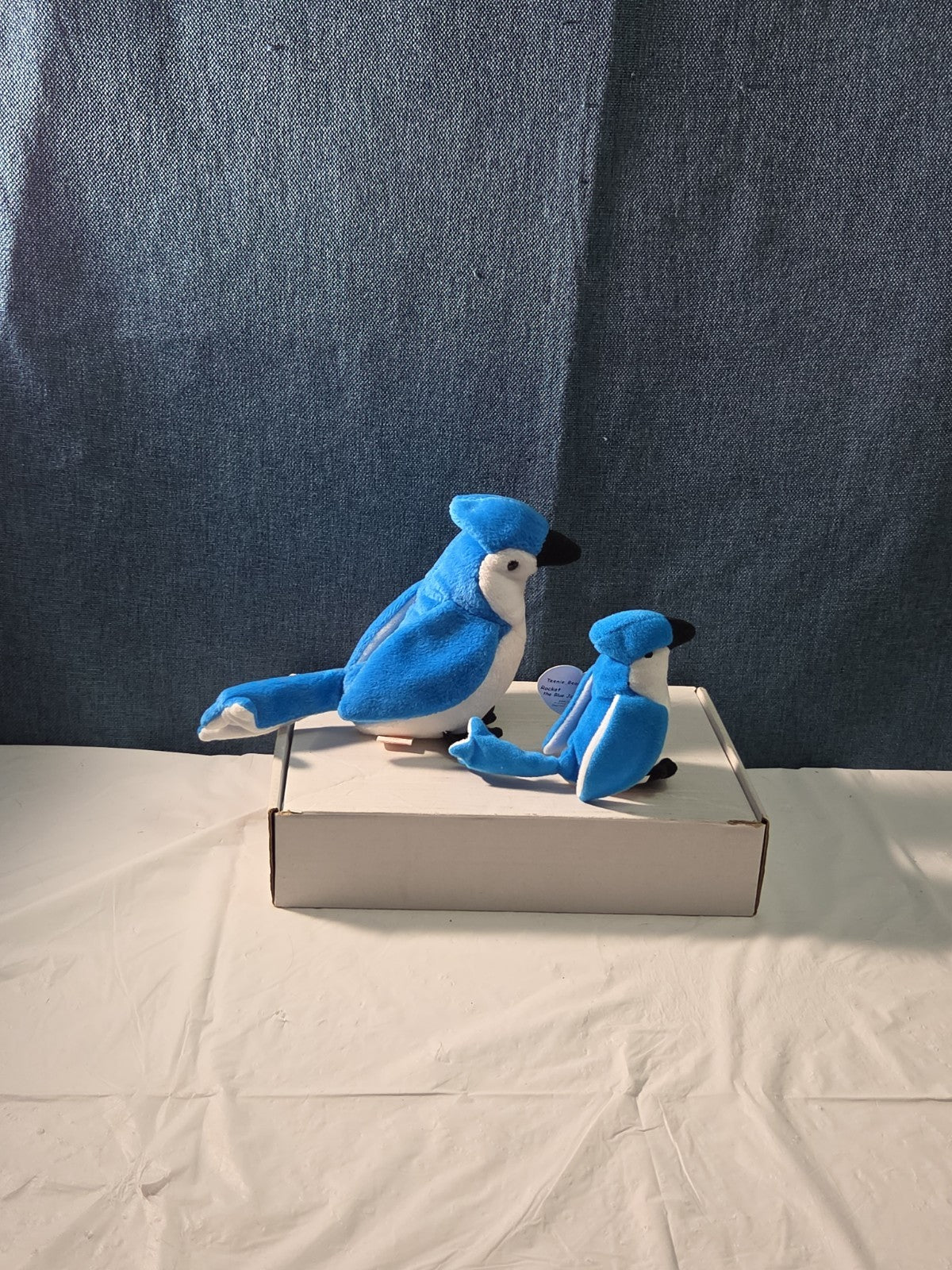 Ty Beanie Baby Rocket the Blue Jay Set Standard & Teenie Beanie 1998 NWT Bird