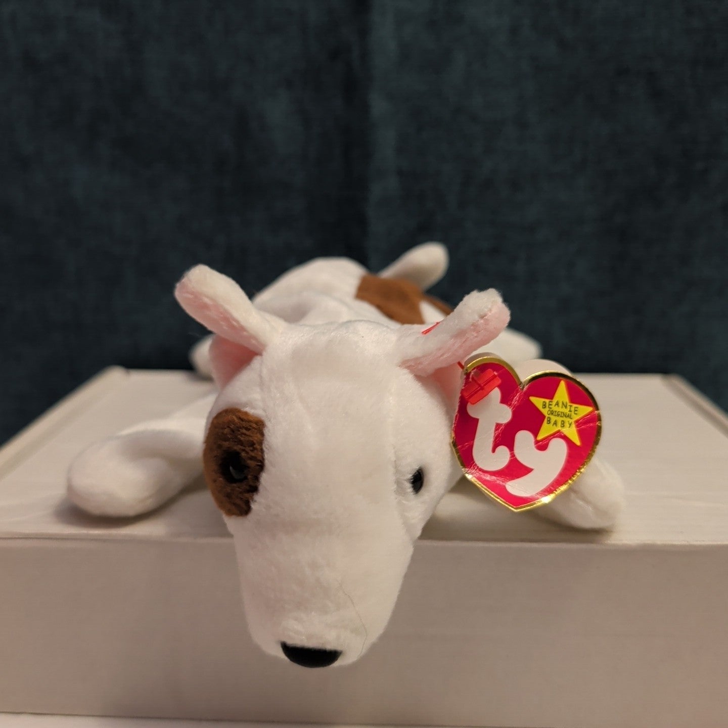 Ty Beanie Baby Butch Bull Terrier Dog 1999 Retired Plush TAG CREASE Clean 4227