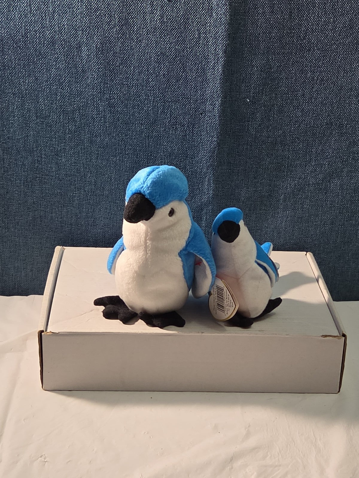 Ty Beanie Baby Rocket the Blue Jay Set Standard & Teenie Beanie 1998 NWT Bird