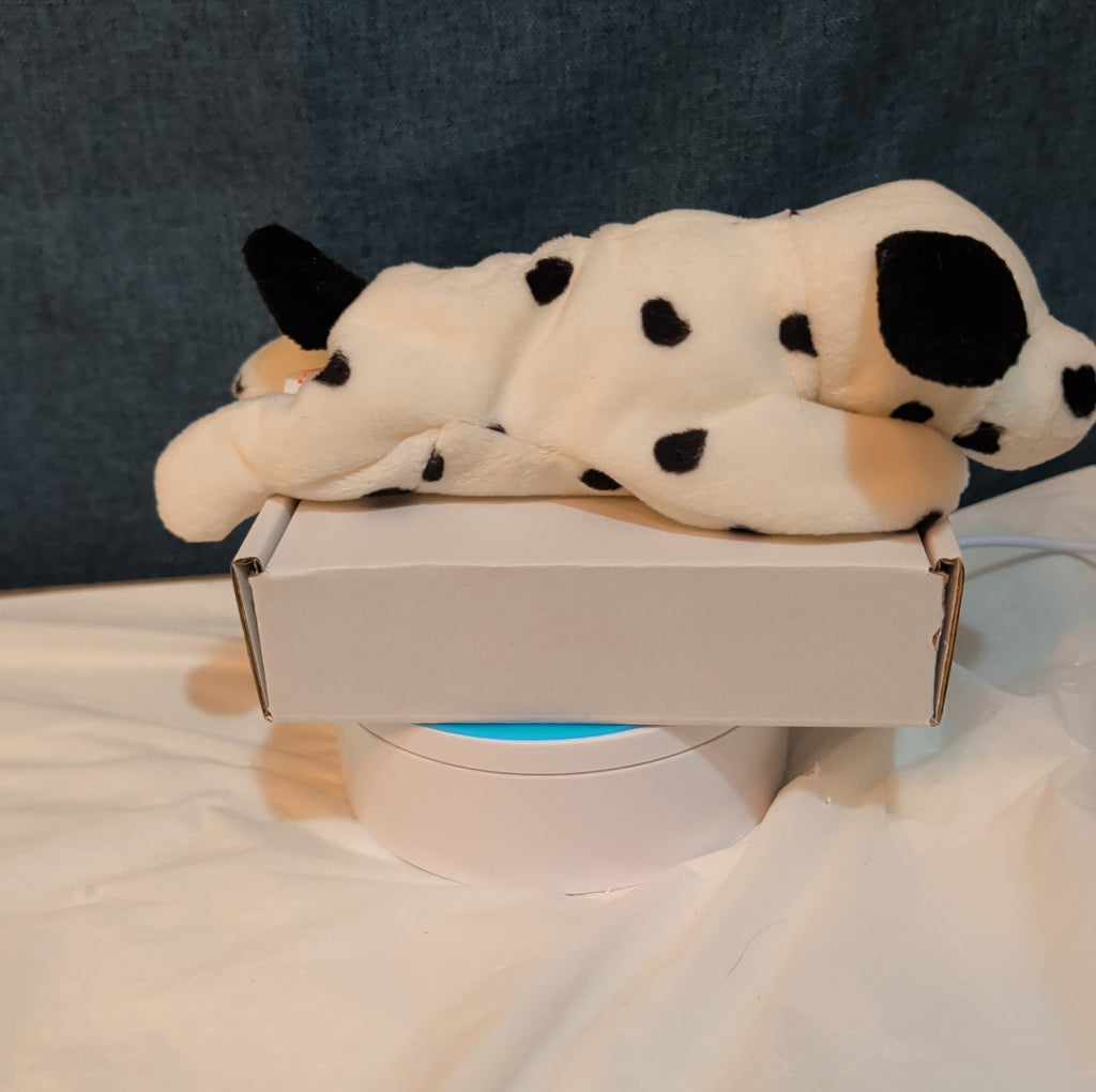 Ty Beanie Baby Dotty the Dalmatian Dog 1996 PVC Pellets Mint with Tags MWMT