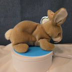 Ty Beanie Baby Nibbly Bunny Rabbit Plush 1999 NWT Hard Tag Protector
