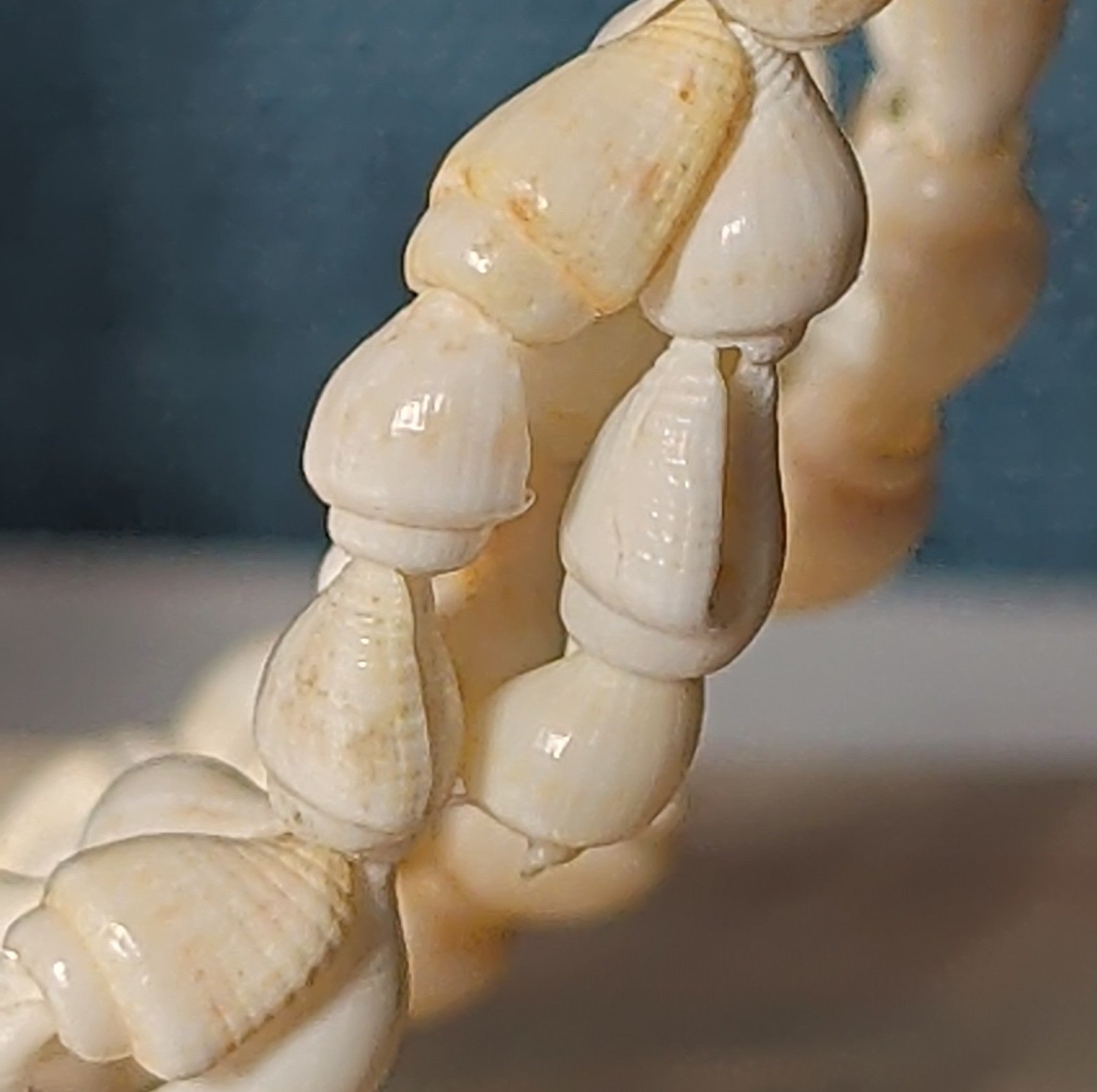 Hawaiian Woven Shell Lei Long Necklace Boho Beach