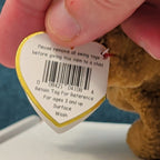 TY Beanie Baby TUFFY Terrier Dog 1996 | MWMT Mint Tags | Fareham Hants Star 6.5"