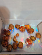 Baroque Tortoise Pre-Drilled Plastic Beads 2oz Boho Craft Lot