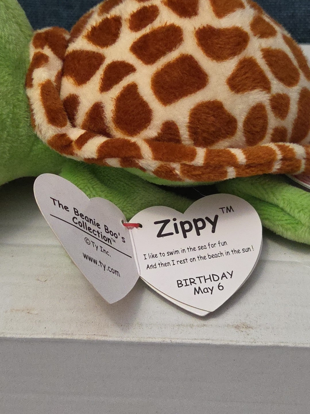 Ty Beanie Boos Zippy Green Turtle 6" Stuffed Animal Toy Gold Glitter Eyes MWMT