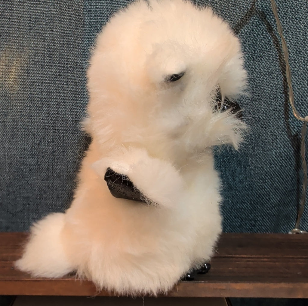 TY Beanie Boos Austin White Owl 6" Plush Gold Eyes Kawaii MWMTs