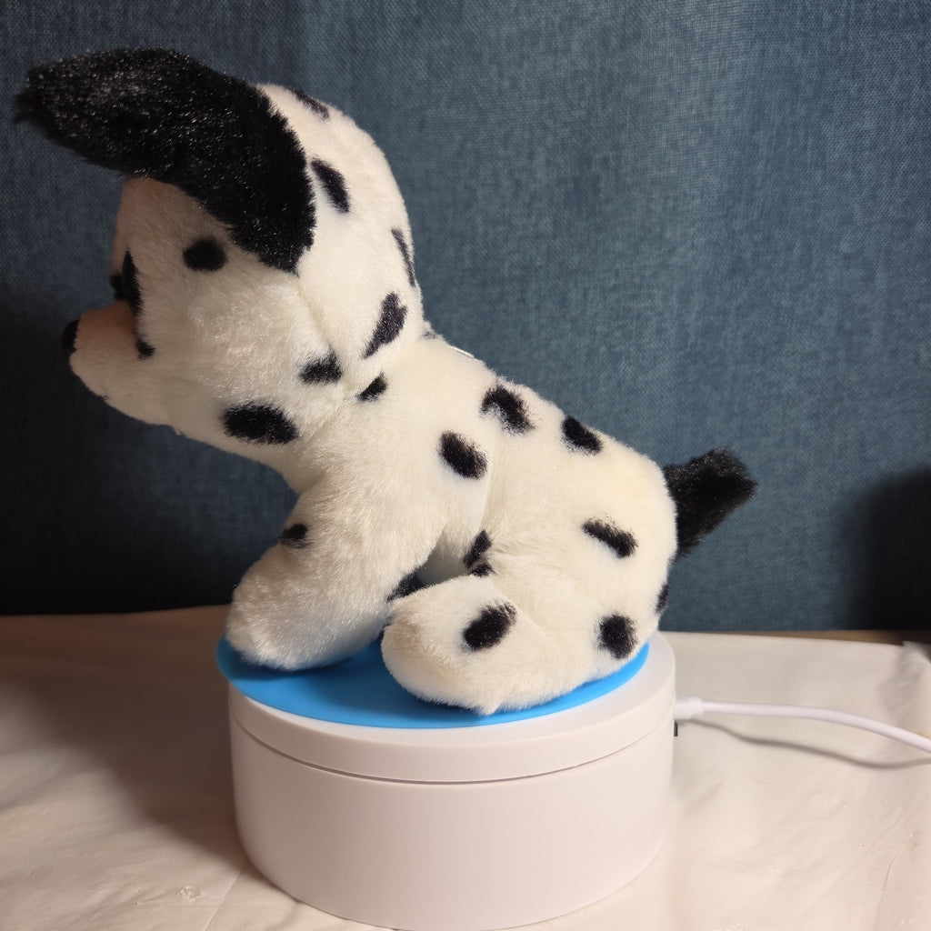 TY Beanie Boos - FETCH the Dalmatian (Solid Eye Color) (6 inch) 2011
