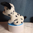 TY Beanie Boos - FETCH the Dalmatian (Solid Eye Color) (6 inch) 2011