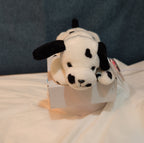 Ty Beanie Baby Dotty the Dalmatian Dog 1996 PVC Pellets Mint with Tags MWMT
