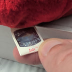 ​Ty Beanie Baby JULY Birthday Bear 2002 Red Teddy Silver Party Hat with Tag