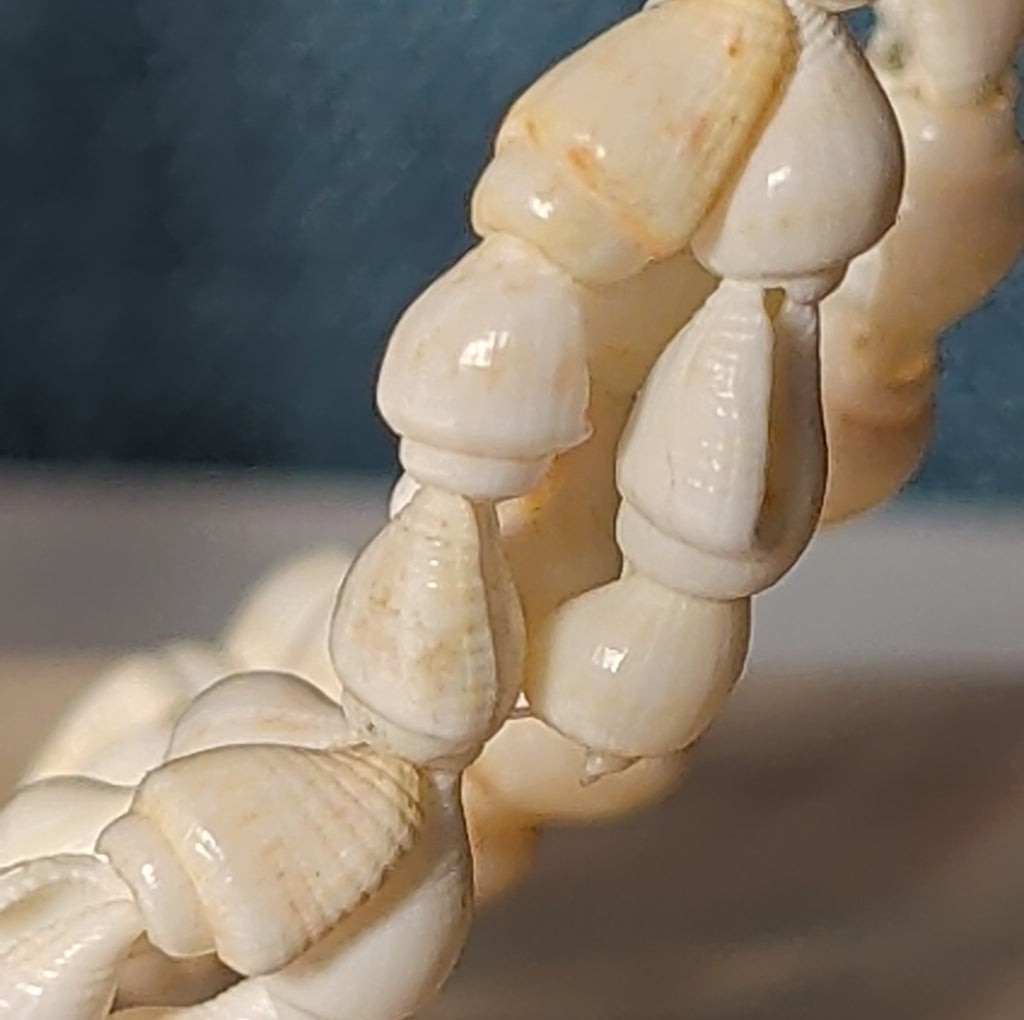 Hawaiian Woven Shell Lei Long Necklace Boho Beach