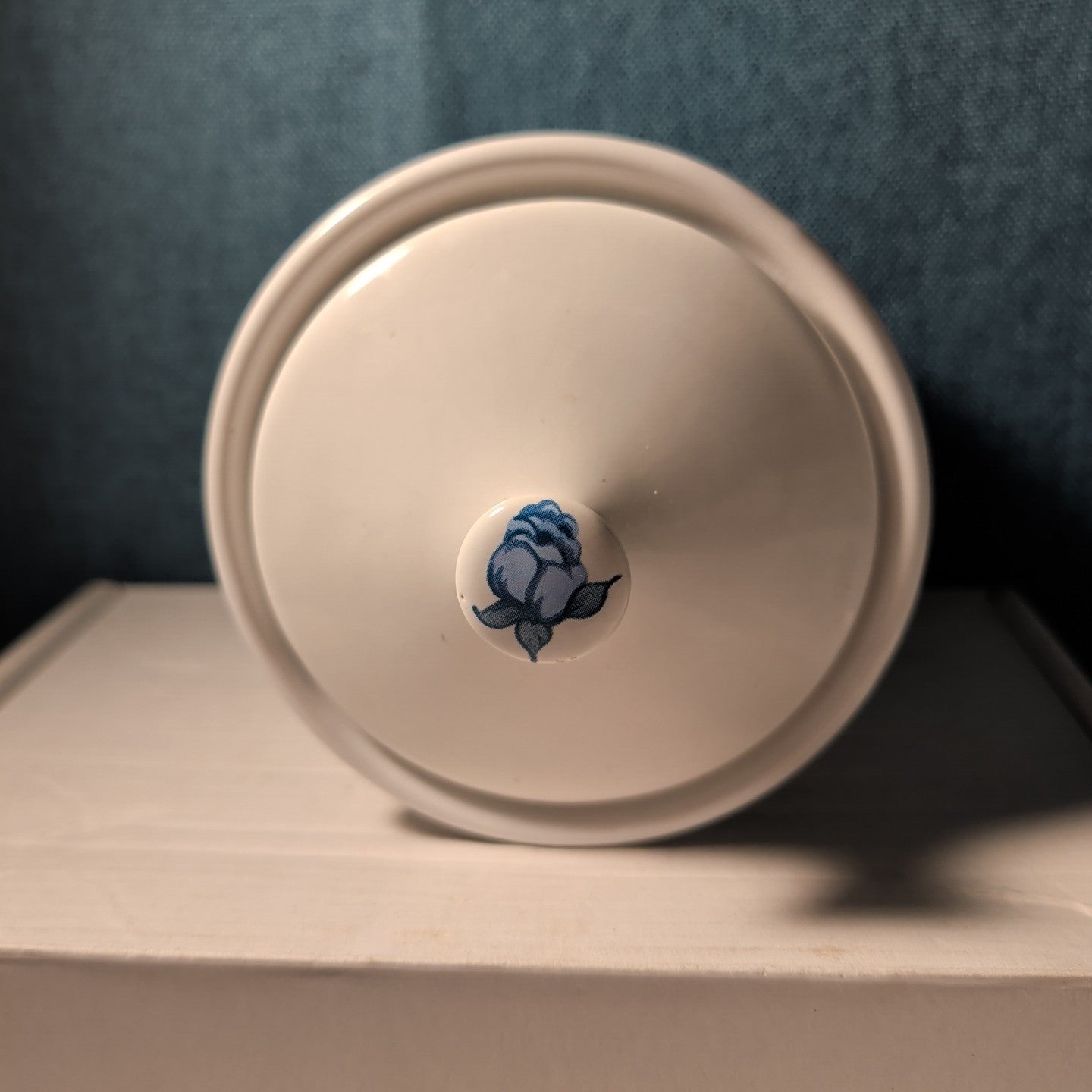Jay Import Blue Rose Ceramic Canister with Lid Floral Farmhouse Decor 5" Jar