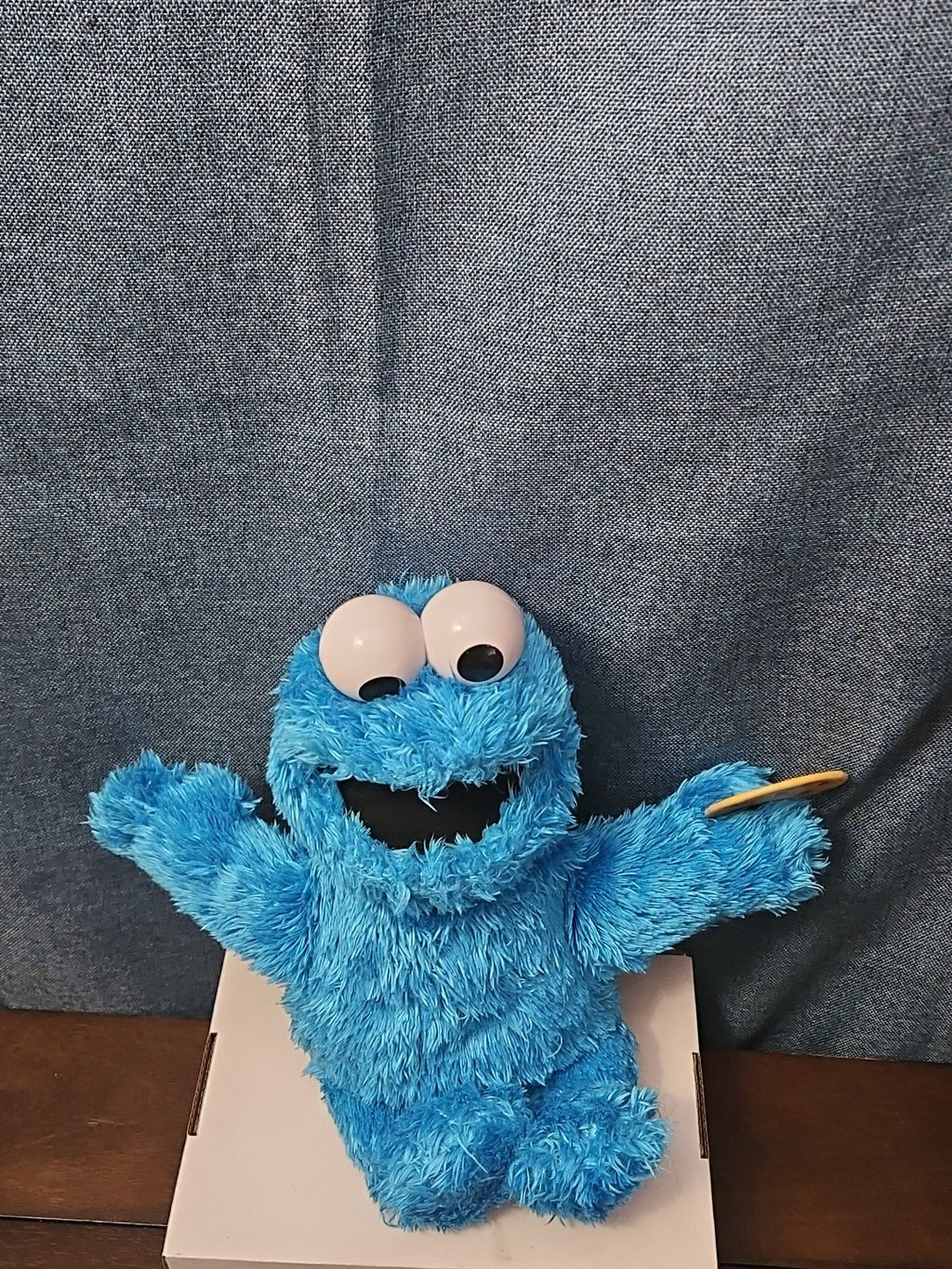 Sesame Street Cookie Monster Plush | 10” Hasbro Talking Figure with Cookie