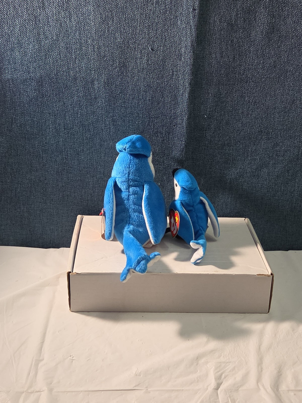 Ty Beanie Baby Rocket the Blue Jay Set Standard & Teenie Beanie 1998 NWT Bird
