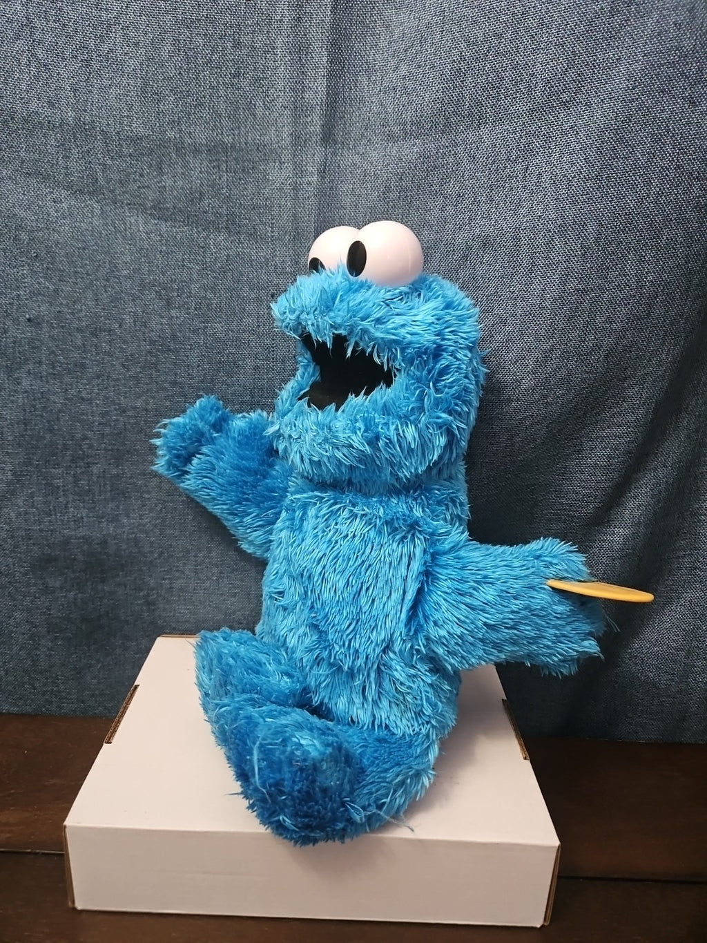 Sesame Street Cookie Monster Plush | 10” Hasbro Talking Figure with Cookie