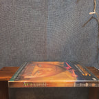 The Aviator 2-Disc Widescreen DVD Holographic Cover